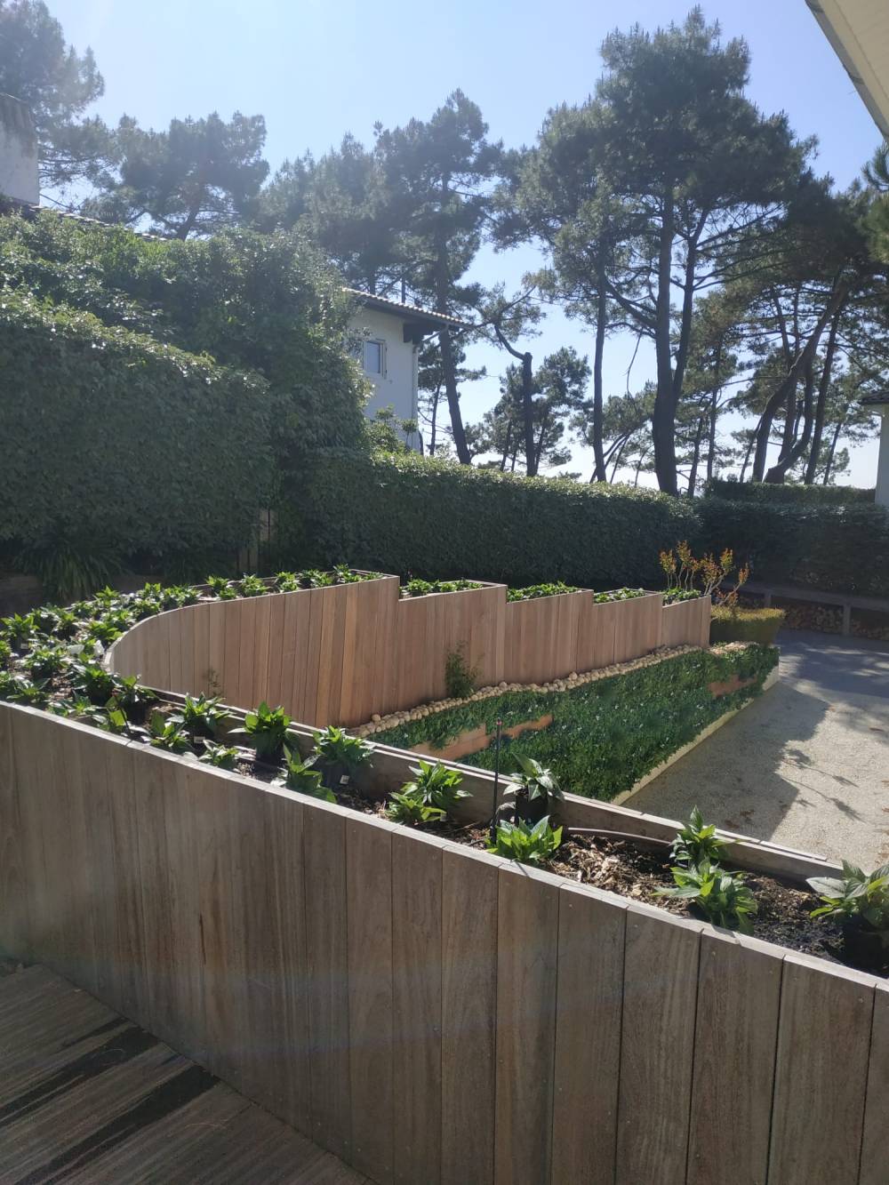 cloture mur vegetal