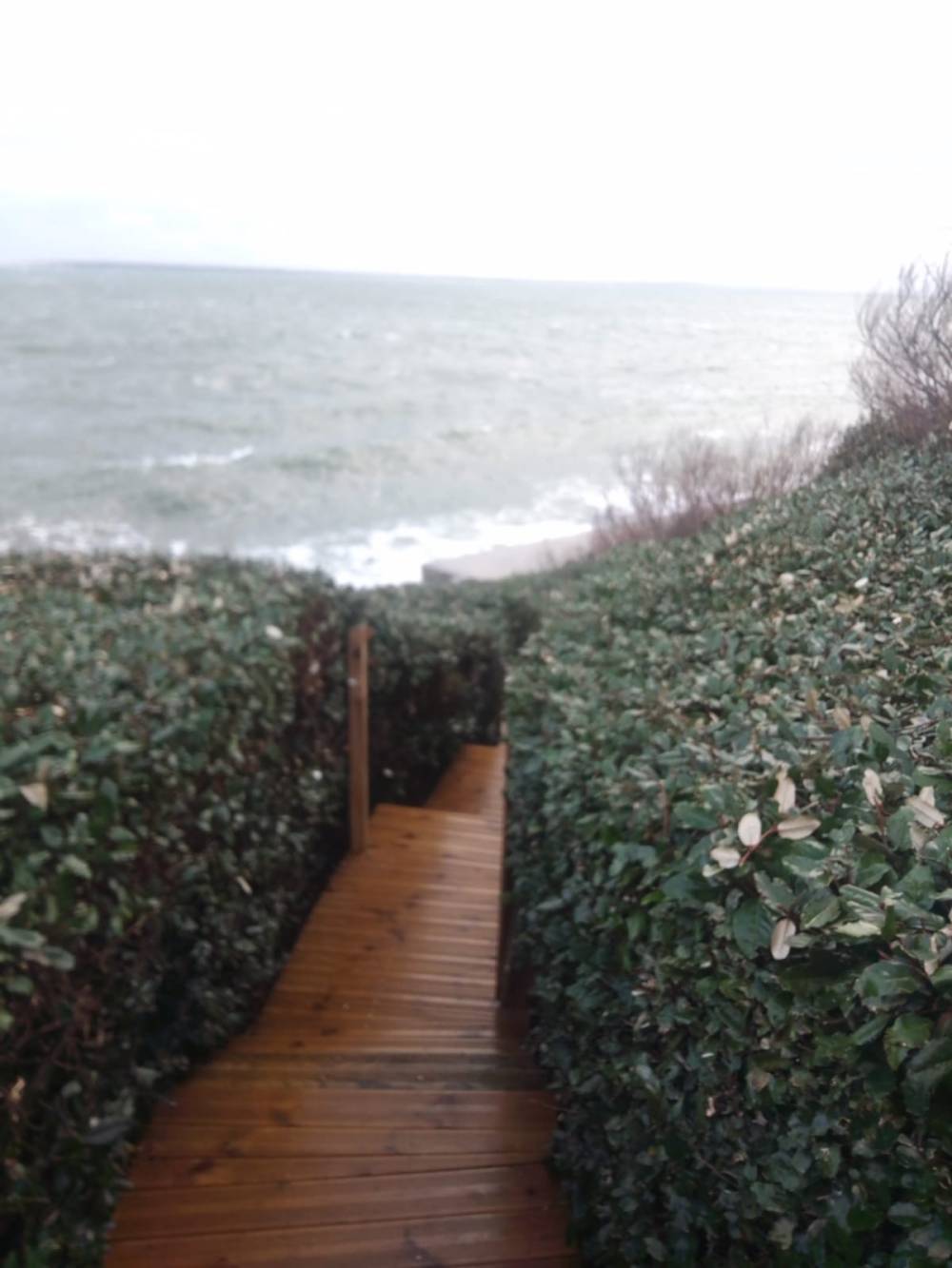 escalier bois